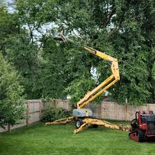 Grass Overseeding in Monument Hills, CA