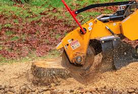 Best Aeration Services  in Monument Hills, CA